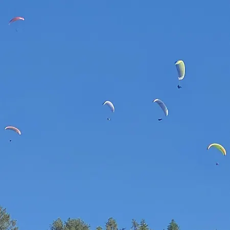 Penthouse On The Piste فييسوناز