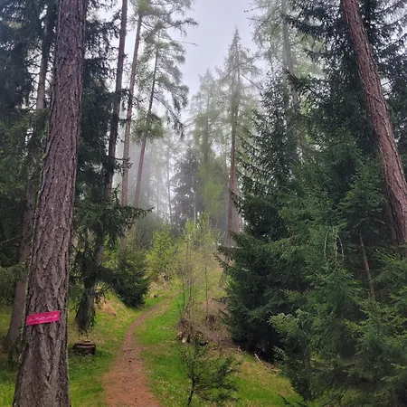 Penthouse On The Piste