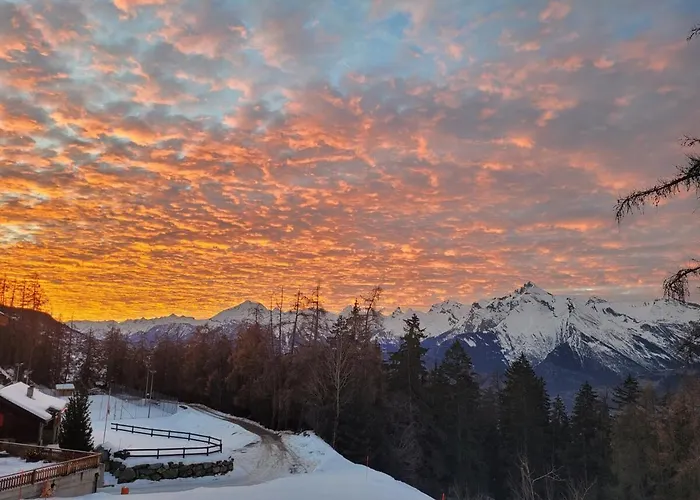 Penthouse On The Piste *