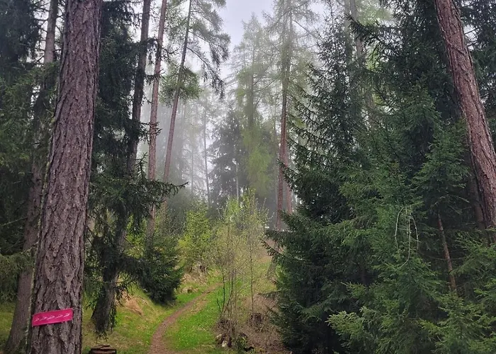 Penthouse On The Piste