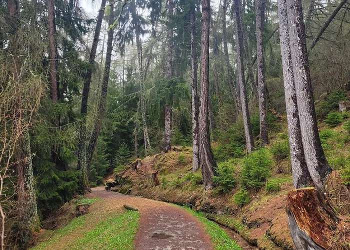Penthouse On The Piste Apartment